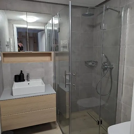 Apartment Pinea 322 *