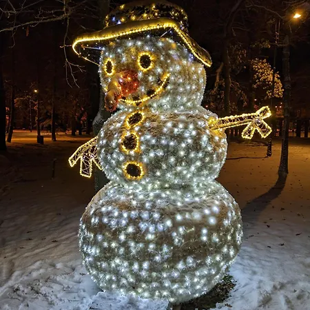 P 322 * 波别罗沃